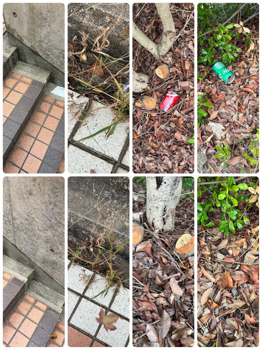 milu29986197's tweet image. #CleanUpChallenge
@cleanify_vet
#Vechain 
#VeBetterDAO
#continue_salon
@continue_salon
#ゴミ拾い
ウォーキングしながらゴミ拾い。