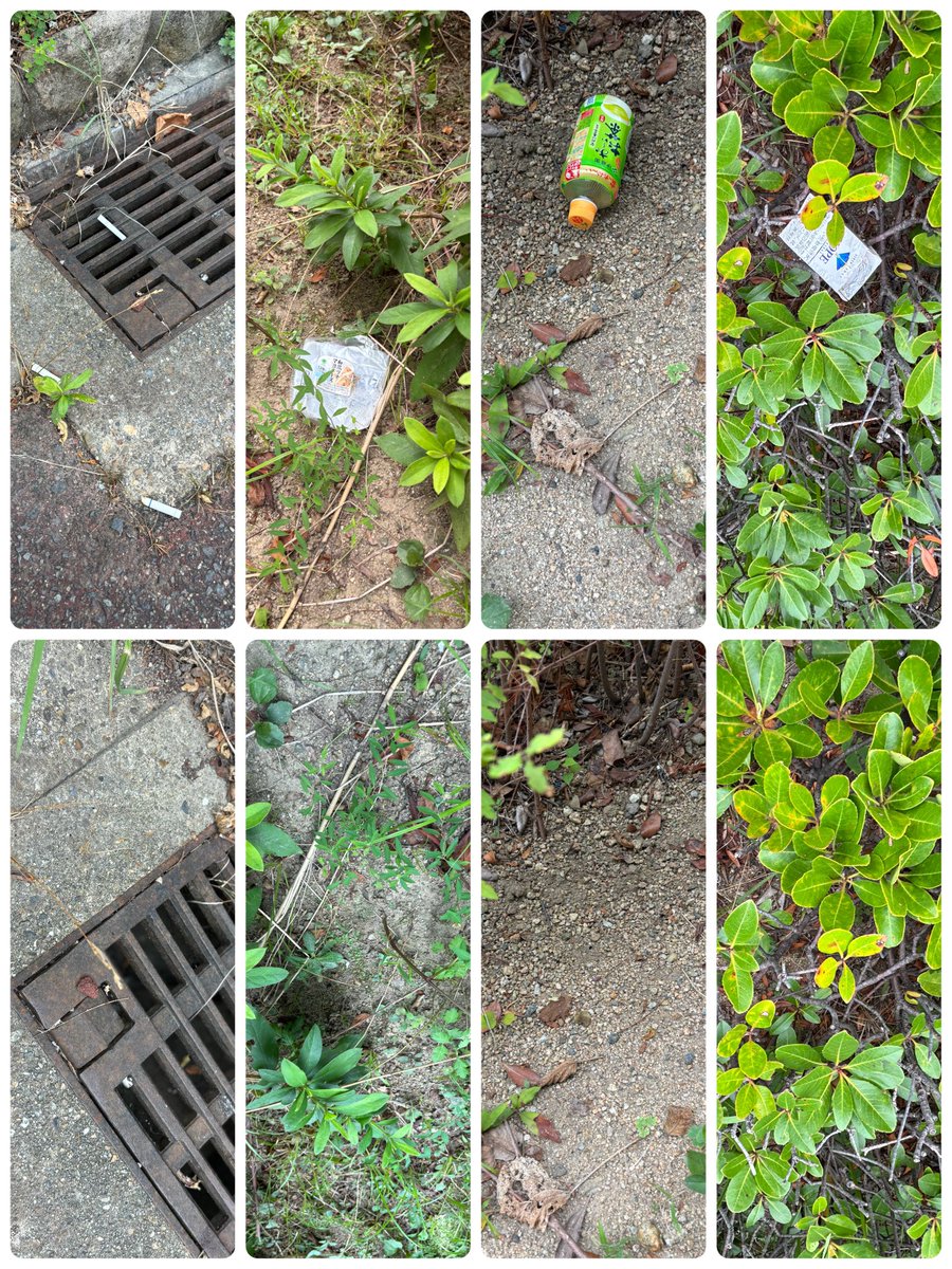 milu29986197's tweet image. #CleanUpChallenge
@cleanify_vet
#Vechain 
#VeBetterDAO
#continue_salon
@continue_salon
#ゴミ拾い
ウォーキングしながらゴミ拾い。