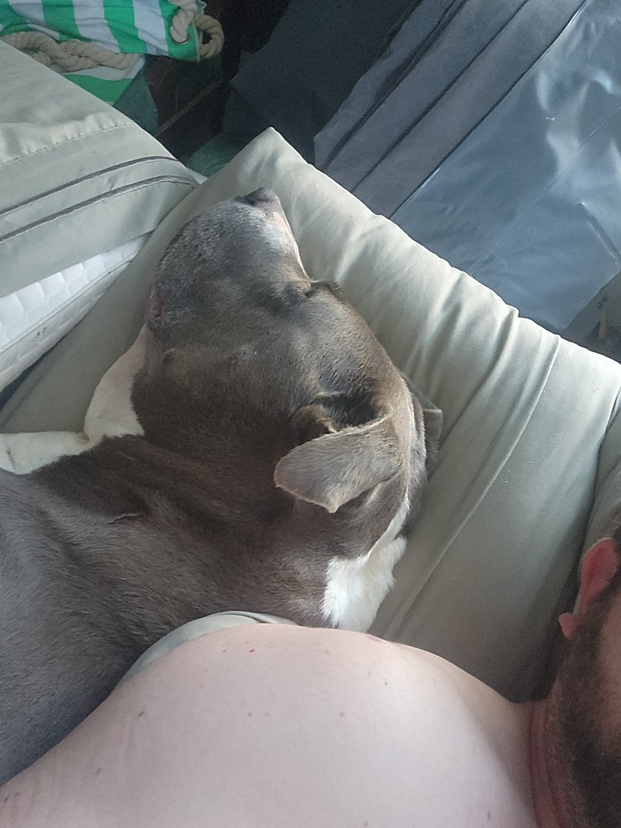 When the dog takes up the whole bed.