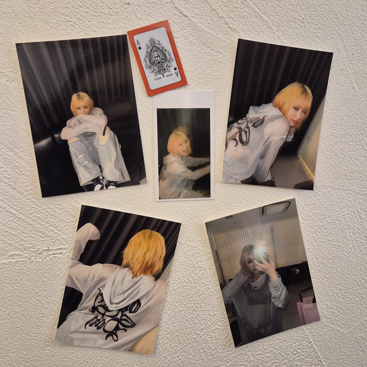 시연 생일카페 1일차 완료!

내일(30일)은 오전 8시에 영업 시작합니다!
내일도 많은 방문 부탁드립니다~

#10월의_ACE_시연
#ACE_of_SIYEON