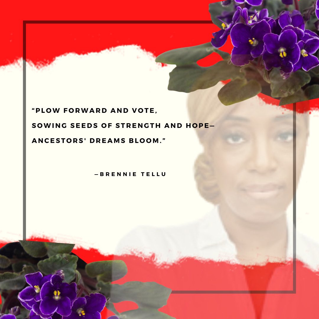 The right to vote is one that should never be taken for granted. The Brooklyn Alumnae Chapter of Delta Sigma Theta Sorority, Inc. wants you to know that your vote has the power to make a difference and influence the future.
We hope you will inspire others to vote!!!