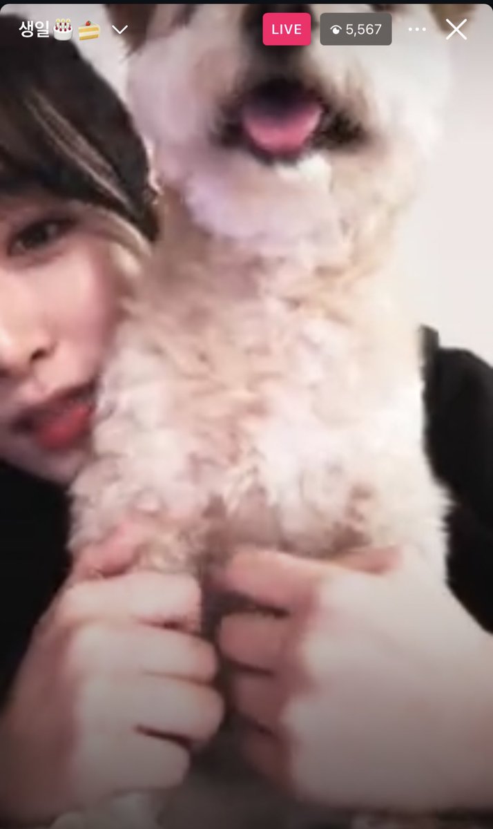 [🎂] Yena’s Birthday Live 📺

instagram.com/yena.jigumina/…

#CHOIYENA #최예나 🐥