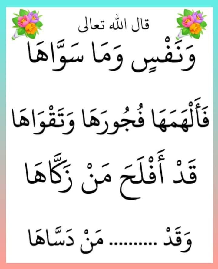 ✨Khatmah Musk tweet media