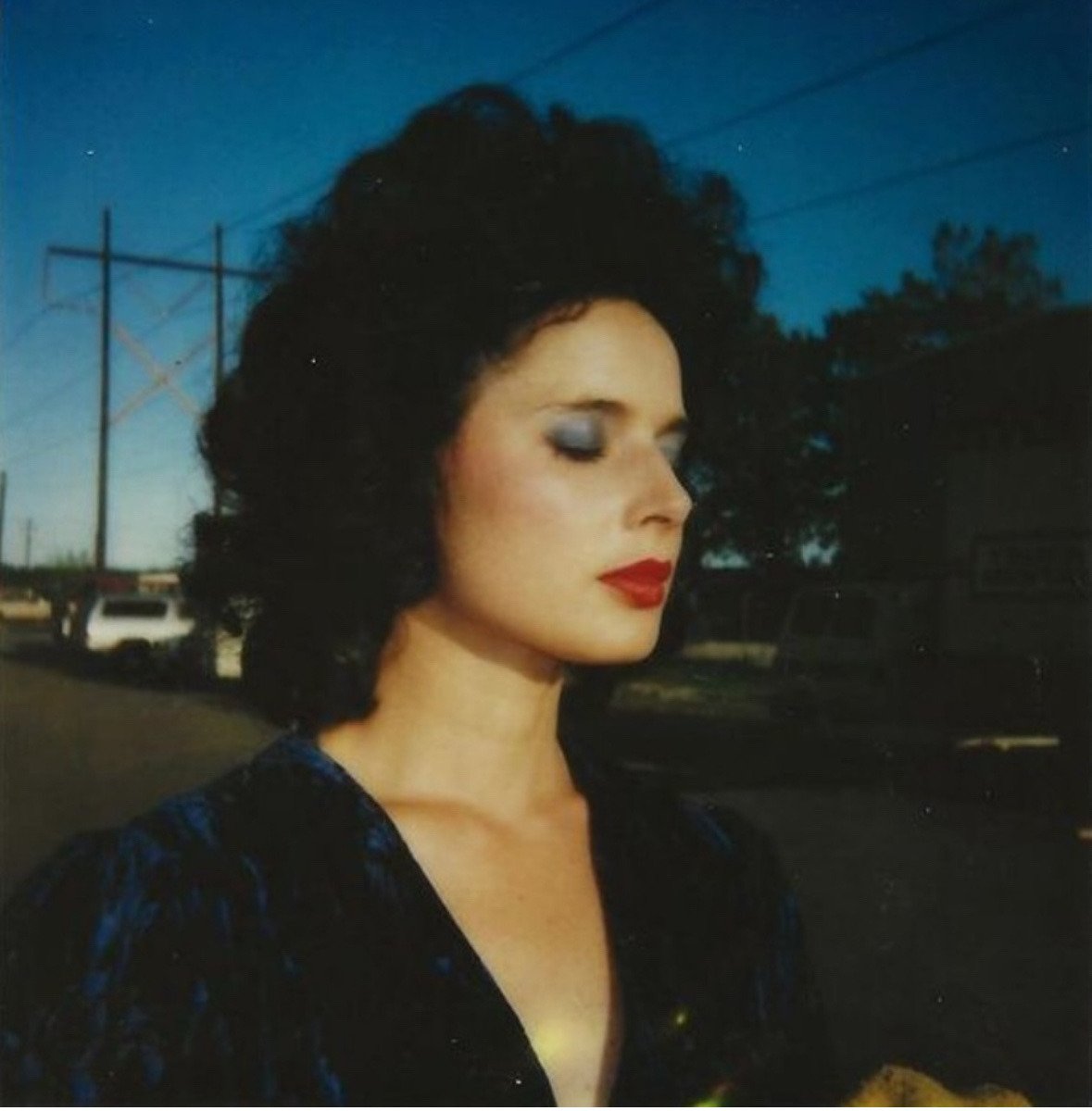 isabella rossellini blue velvet dress Isabella Rossellini's 2025 Oscars Glam Was a Nod to 'Blue Velvet'