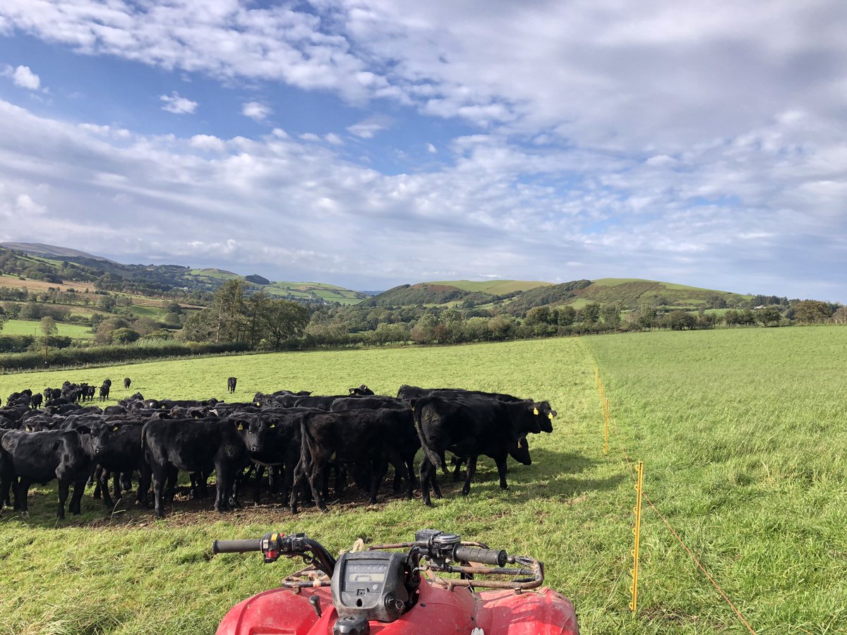 Neil Davies tweet media