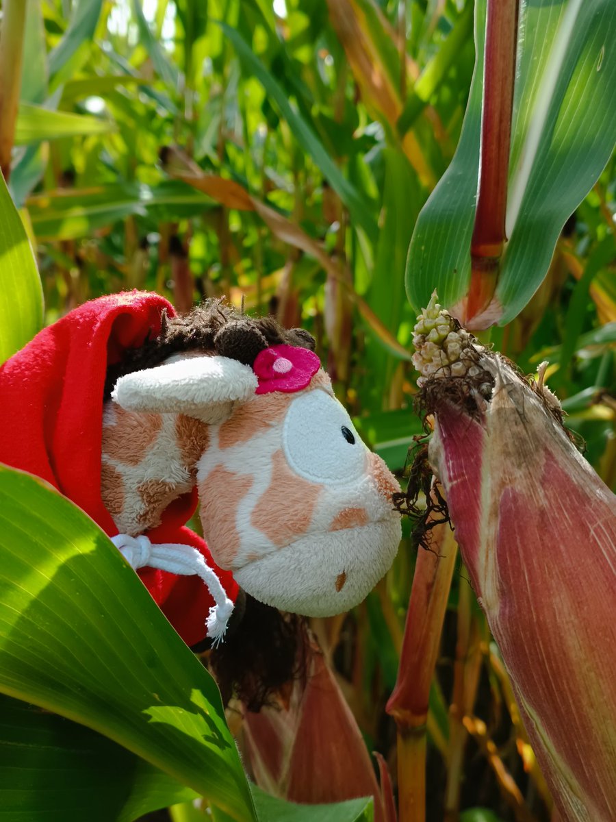 Hui..... Das ist ein wenig wackelig 🤪 und das Ding da sieht sehen aus 🧐