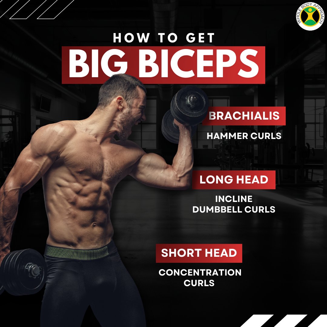 WBA2k10's tweet image. Want bigger biceps? 💪 Here's how to do it:

#BicepsGoals #HammerCurls #ArmDay #FitLife #GymMotivation #MuscleGain #StrongArms #FitnessJourney #ProgressNotPerfection #WorkoutRoutine #StrengthTraining #BuildYourBody #GymTime #PeakPerformance #TrainHard