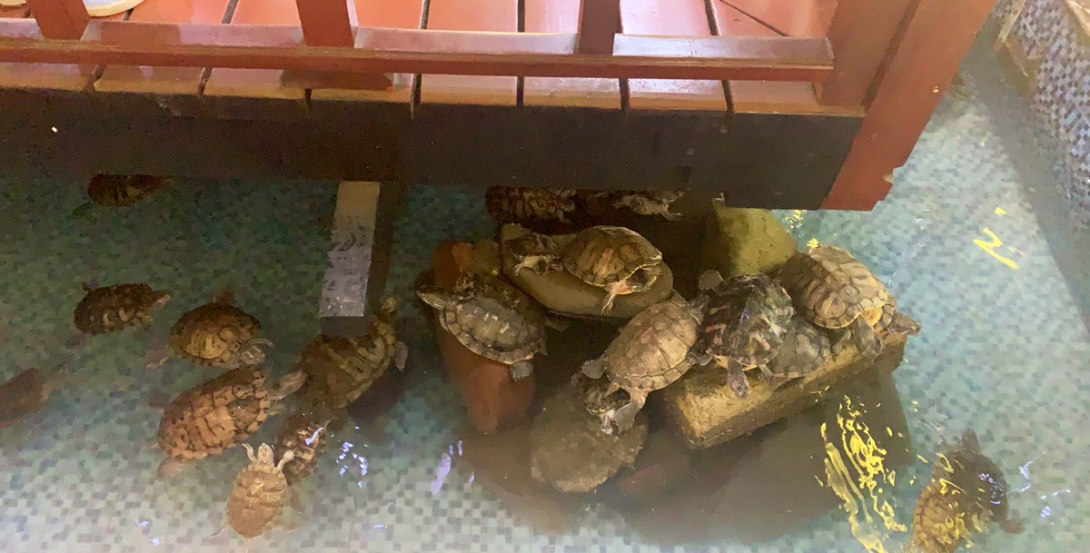 Abdulaziz tweet media