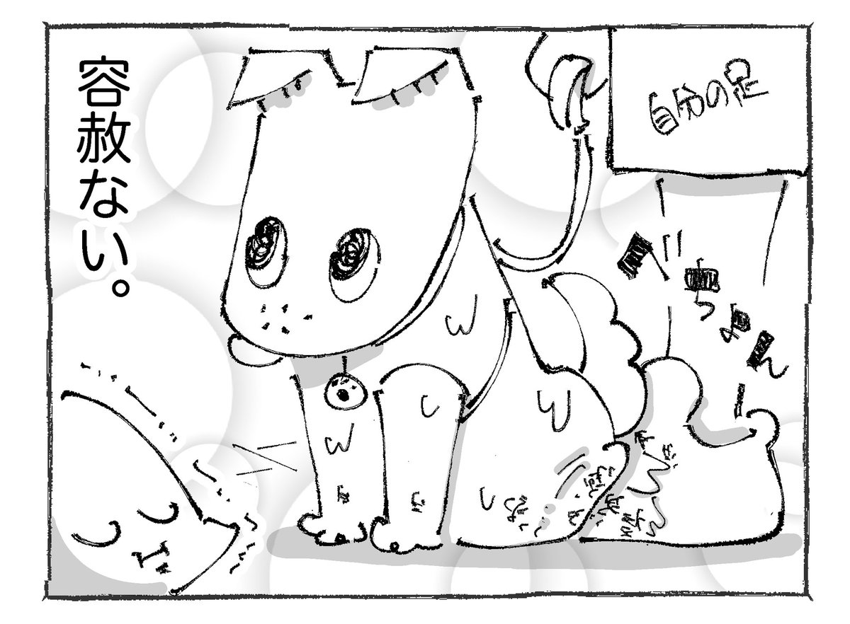 【2/3】 