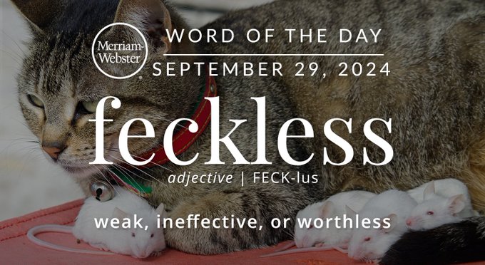 Merriam-Webster Word of the Day September 29, 2024 'feckless' adjective | FECK-lus "weak, ineffective, or worthless" Background Image: a cat hanging out with a mouse
