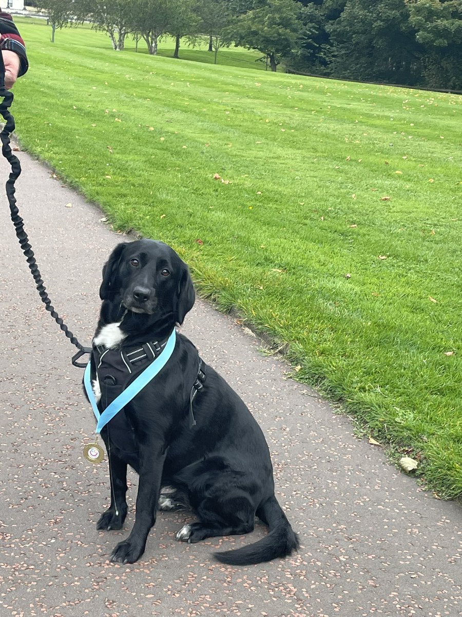 DanaStott2's tweet image. Today I took part in my 1st walk for Children’s cancer at Stormont in Belfast, it was a great atmosphere and very well organised! #ASMOSUSresource water bottles came in handy @QUBAmbitionSONM
