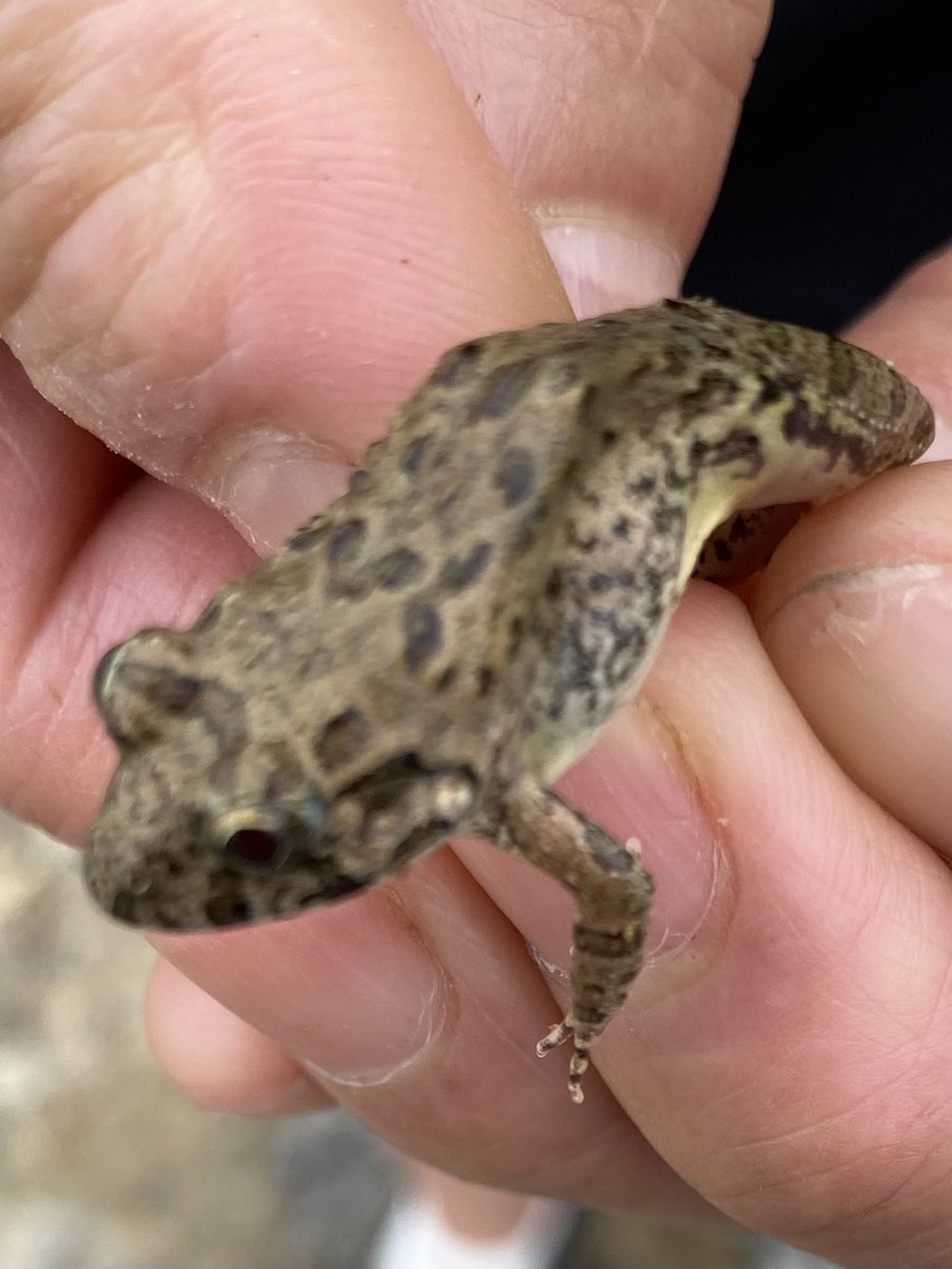 延期となった青野ダムでのドランクレイジーCUP終了しました★お立ち台は全員50UP！優勝はスローシャイナーのフリーリグ。レジェンドも48cmで4位でした。11月3日に今年最後の青野ダム大会開催予定です。参加者の皆様ありがとうございました😊