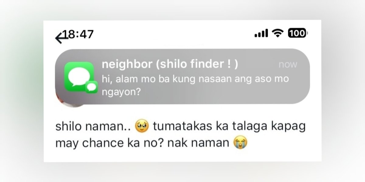 mwshann's tweet photo. take res-PAW-nsibility! 🐾
— an alternate universe 

wherein micho (mg), a gym rat who happens to be your kapit-condo, keeps on seeing your dog at the building's gym every time she gets the chance to escape your home.

mingyu × oc — few tweets au :>
[episode 1] https://t.co/JxZ54uJZoA