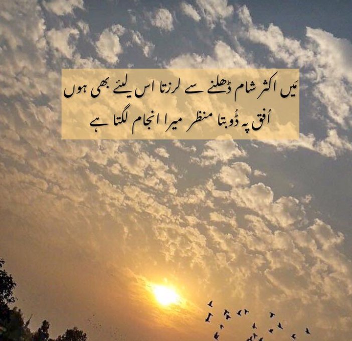 میں اکثر شام ڈھلنے سے لرزتا اس لیئے بھی

 ہوں افق پہ ڈوبتا منظر میرا انجام لگتا ہے🎨