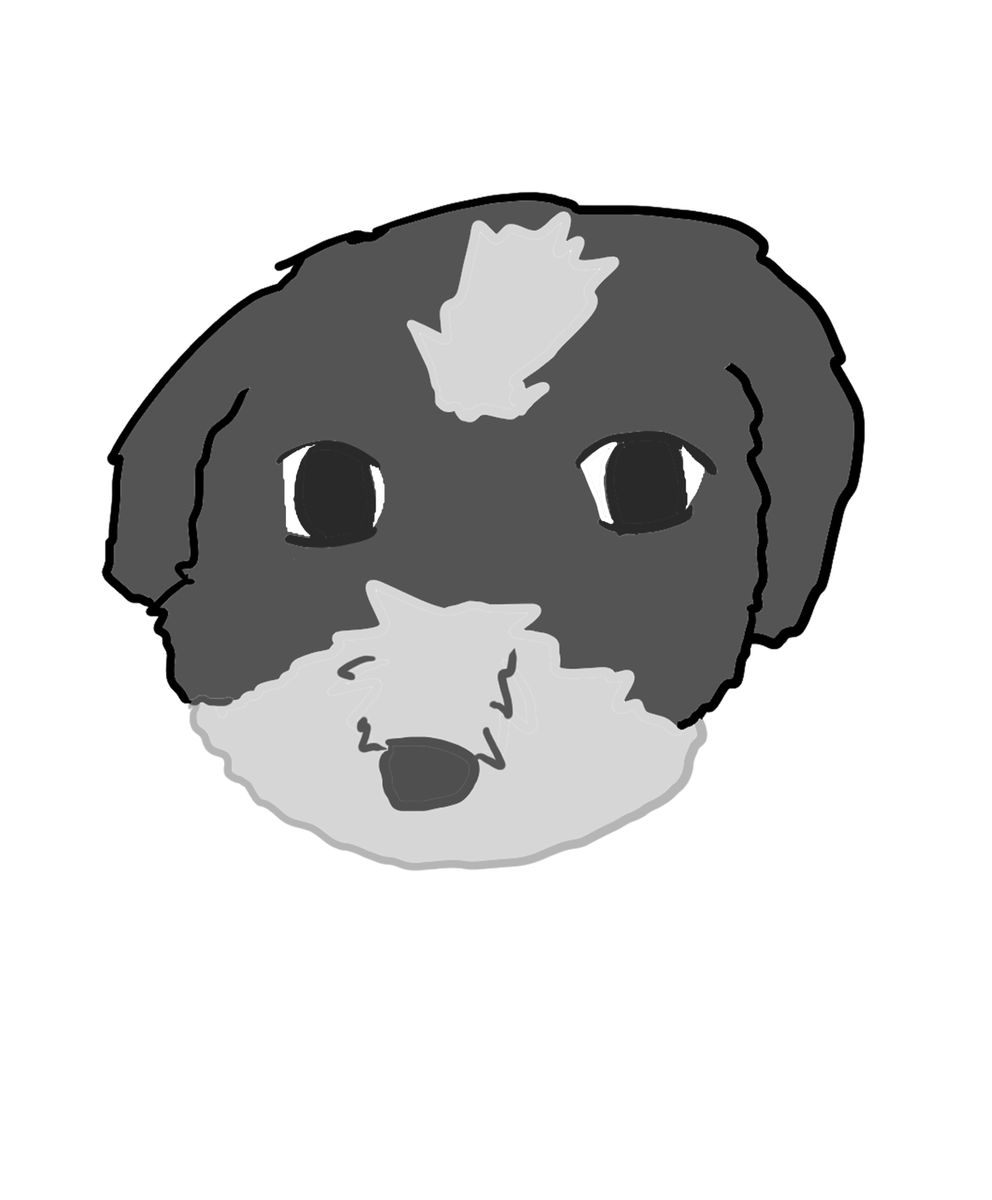 that_leia's tweet photo. Pet for #slowtember #slowtember2024, prompts by @megaelod 
This is my #dog Rorie! https://t.co/8qzbAmbqUW