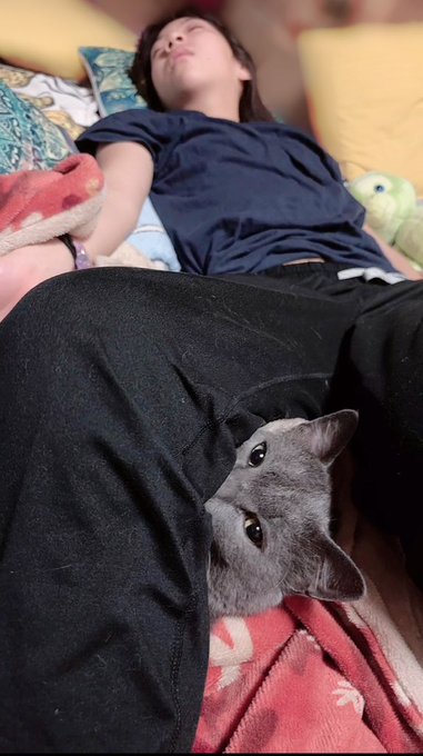 Twitterのコスプレ画像27