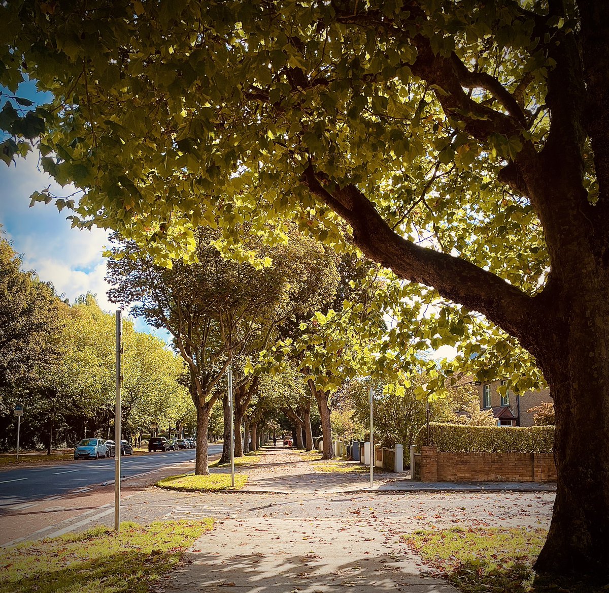 Trevor Austin tweet media