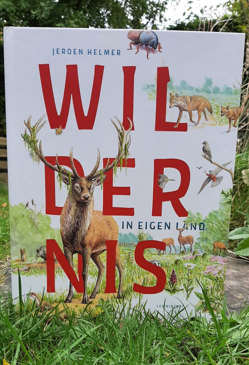 ToekomstNatuur's tweet photo. Wildernis in eigen land, het splinternieuwe boek van Jeroen Helmer, staat centraal in de nieuwe podcastaflevering. 

Luisteraars van Toekomst voor Natuur maken kans op een exemplaar, beschikbaar gesteld door @ARKNatuur. Weten hoe? Je hoort het hier 👇🏽 https://t.co/a91JC7SJso https://t.co/I0bHGAEEo1