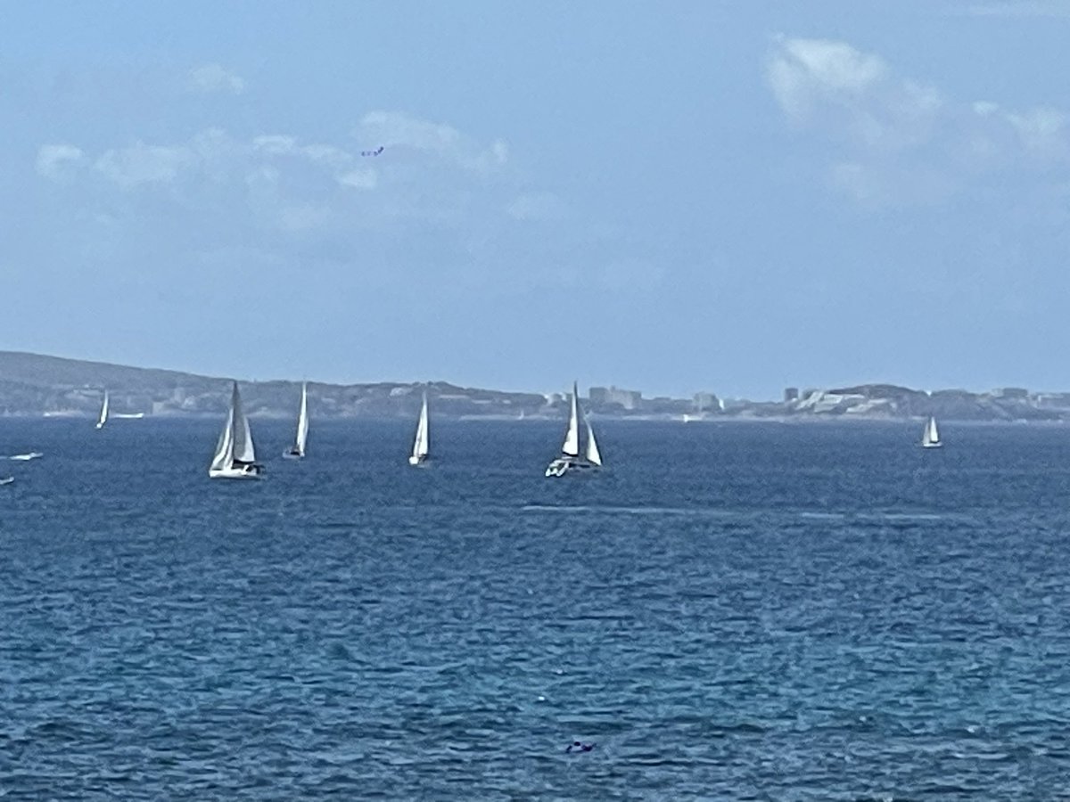 maremarfundacio's tweet photo. L’abocament sistemàtic d’aïgues residuals a la badia de Palma és un fet delictiu i un atemptat de 1er ordre al medi marí. Durant dècades, una lacra que nigú gosa a erradicar. Quina actuació hi ha @cmar_ib? Aquí teniu imatges (22 i 29/09/2024)de la pudenta ploma de l’emissari EDAR https://t.co/a8ifsgMZvT