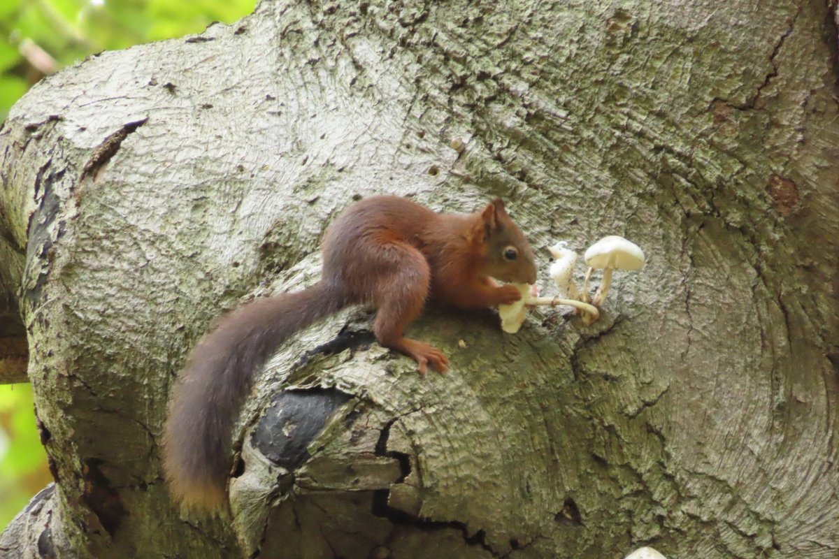 Elsbeth Kwant tweet media