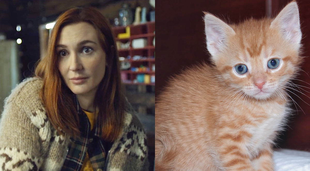nedleysoffice's tweet photo. I missed yesterday, but here is a cute Nicole as cats a day late.  :)  #WynonnaEarp #Vengeance https://t.co/qIpvR8e1TD