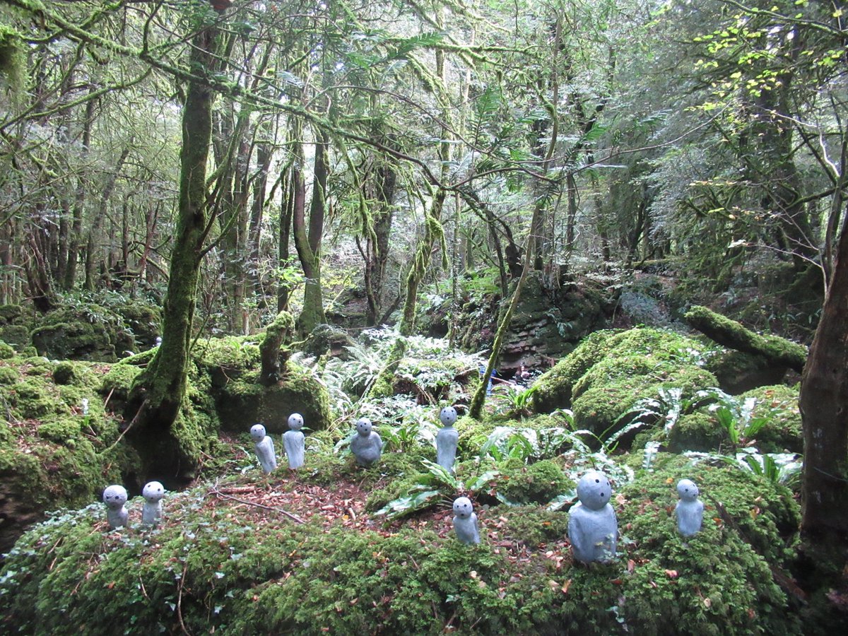 b_dmintl's tweet photo. Trip to Puzzlewood yesterday. Wonderful addition of Ed Elliott's Kodama there at the moment. 
#puzzlewood #forestofdean https://t.co/DB9qSe2bxw