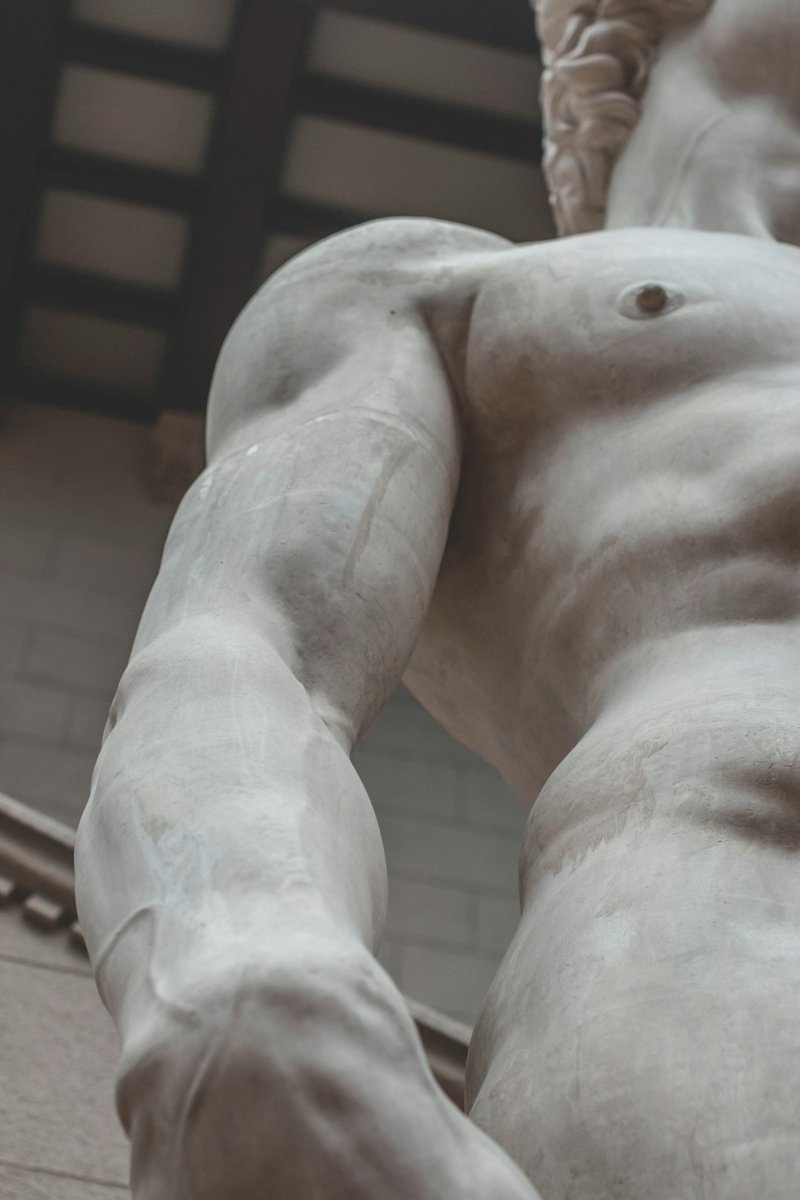 X_ArtGallery's tweet photo. Michelangelo sculpted the David at just 26, using the tools and training of 1501. https://t.co/96521h1ea1
