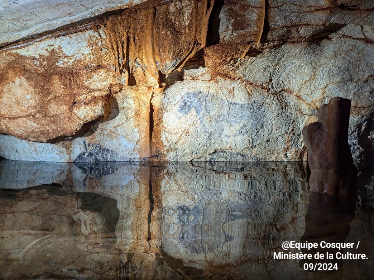 Grotte Cosquer - Mission scientifique. Saison 3. Première semaine: Les chevaux sont sous l'eau !  😥😢
Malheureusement la grotte n'a pas bénéficié d'épisodes récents de mise en pression...Le niveau d'eau est très haut... !