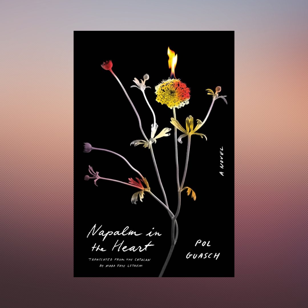 "The words we use at home, in public, and with our lovers, even the words we use with ourselves, are all political." @frauvolckmer reviews Pol Guasch’s “Napalm in the Heart,” translated by Mara Faye Lethem. lareviewofbooks.org/article/the-sc…