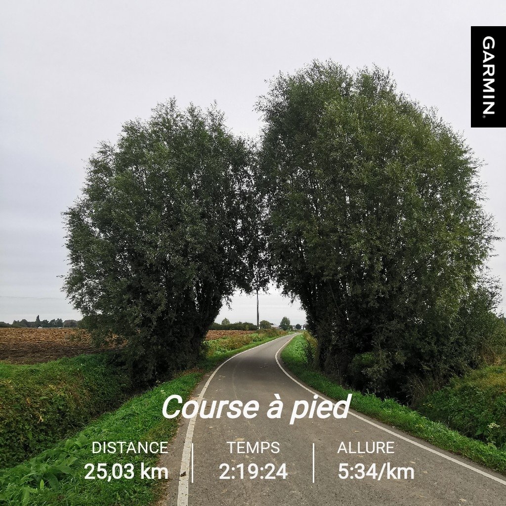 soanito's tweet photo. Travail en zone Aerobie sur 20k.
Un Sunday run quoi!!
#running #runner #trailrunning #runnerworld #run #runningman #runnerlife #runningday #Runart #runmotivation #courseapied #ラン #ランニング #correr #trailrunning #trail #trailerworld #trailer #trailrun #trailerlife #instarun https://t.co/3H6frCdown