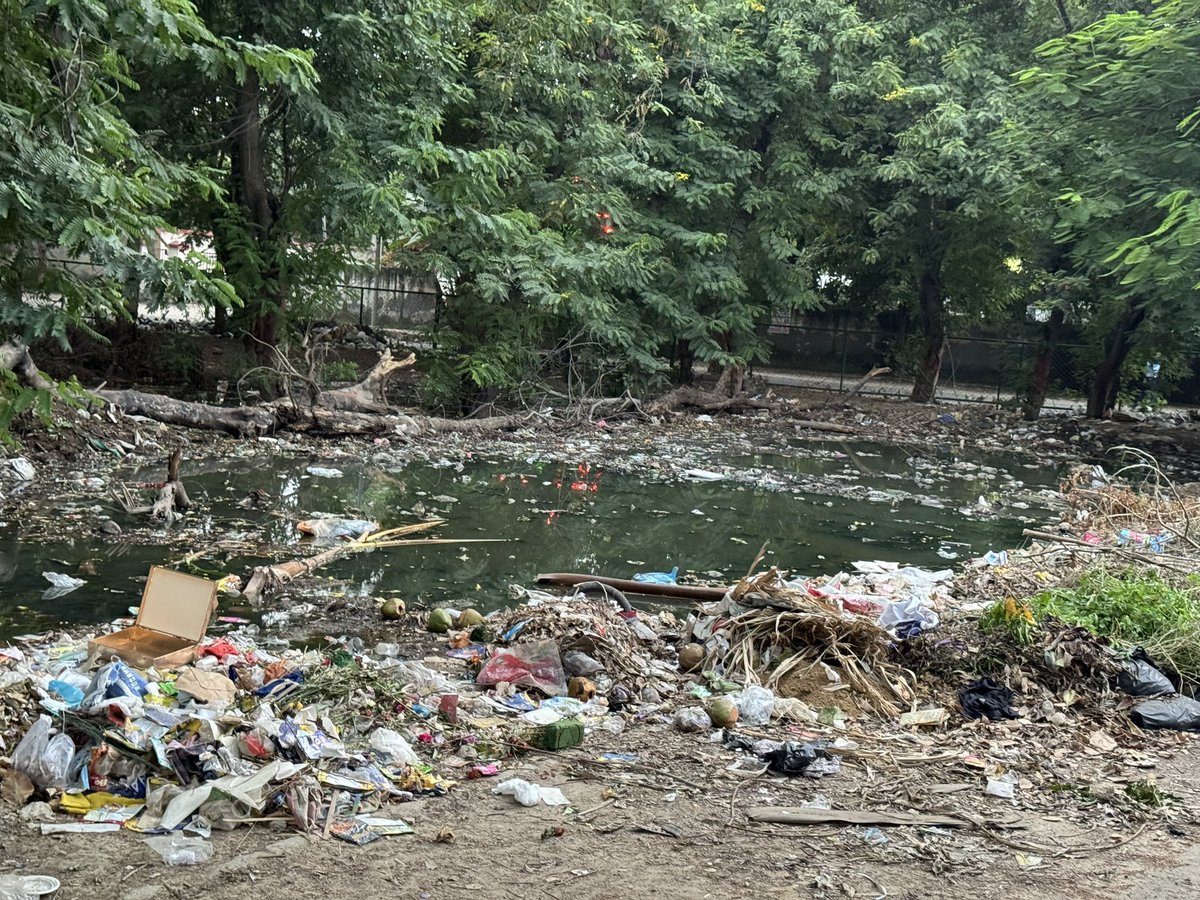 navshw's tweet photo. @MunCorpGurugram ये पालम विहार C1 block का हाल है. इतने सालों से बोलने के बावजूद कचरा का ढेर बढ़ता ही जा रहा है. और अब यहाँ sewage का तालाब बन गया है. यहाँ से इस साल डेंगू के बहुत मरीज़ आयेंगे. शायद तब कोई यहाँ ध्यान देगा @cmohry @MunCorpGurugram https://t.co/4Ahq5Dl0pO