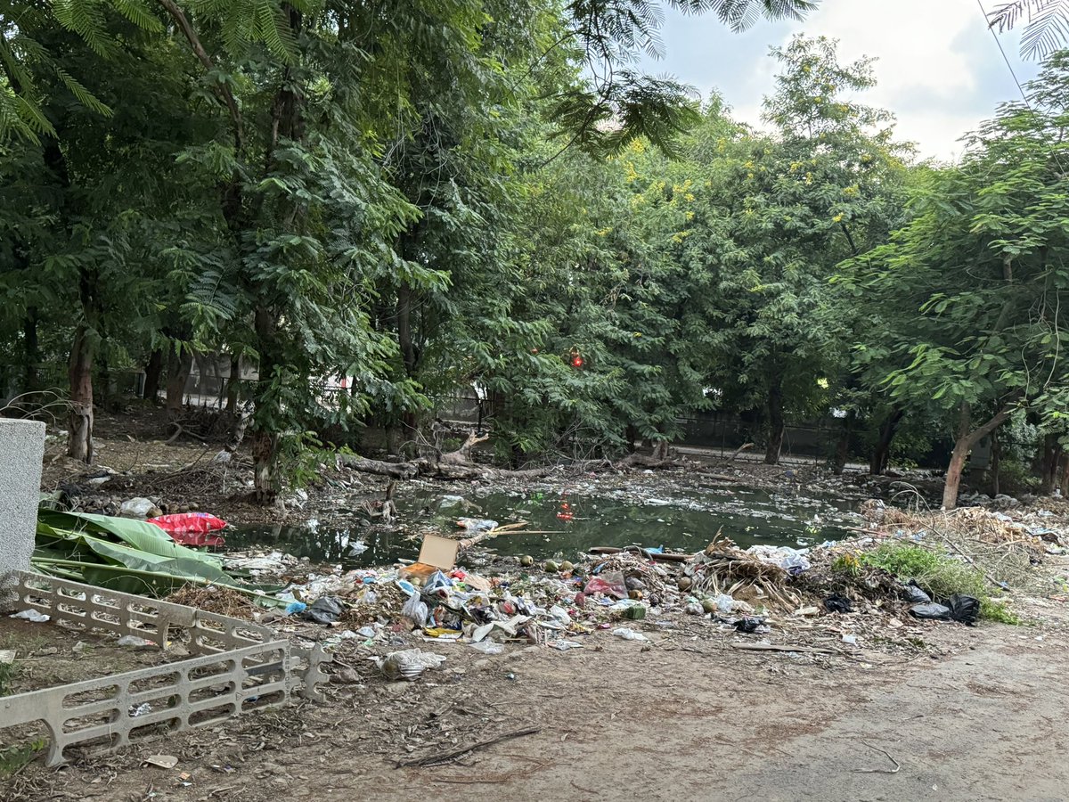navshw's tweet photo. @MunCorpGurugram ये पालम विहार C1 block का हाल है. इतने सालों से बोलने के बावजूद कचरा का ढेर बढ़ता ही जा रहा है. और अब यहाँ sewage का तालाब बन गया है. यहाँ से इस साल डेंगू के बहुत मरीज़ आयेंगे. शायद तब कोई यहाँ ध्यान देगा @cmohry @MunCorpGurugram https://t.co/4Ahq5Dl0pO
