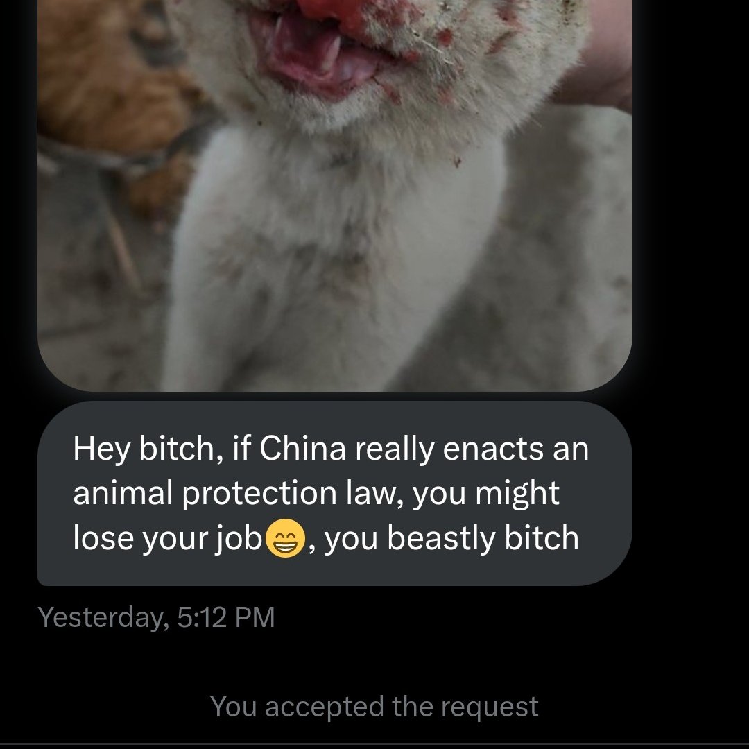 PhaedraXTeddy's tweet image. USA 🇺🇸 has no business sending money to #TheScience in #China🇨🇳. Scientists in #China have zero #AnimalWelfare standards same as common animal abusers behavior below NEVER gets punished. 
@realDonaldTrump Finish what you started #StopAnimalTesting !
@RobertKennedyJr 🆘️
#MAHA