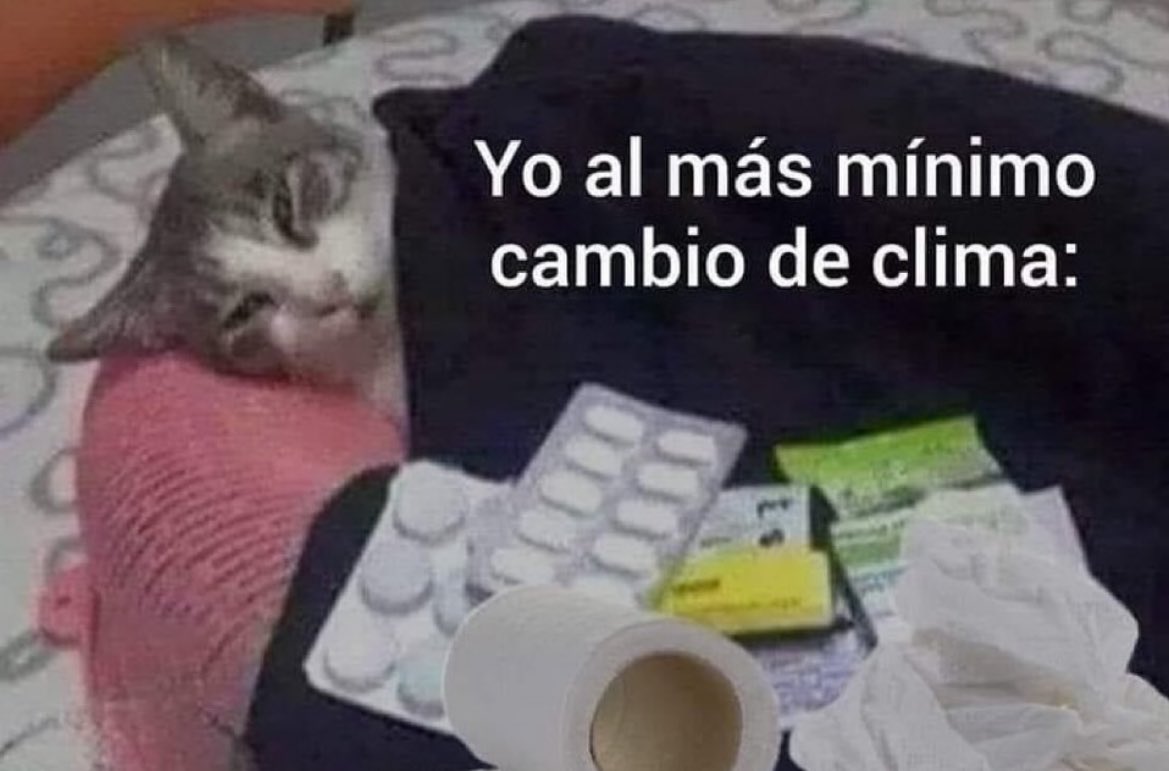 euskal herria fumar (@euskadifumar) on Twitter photo 