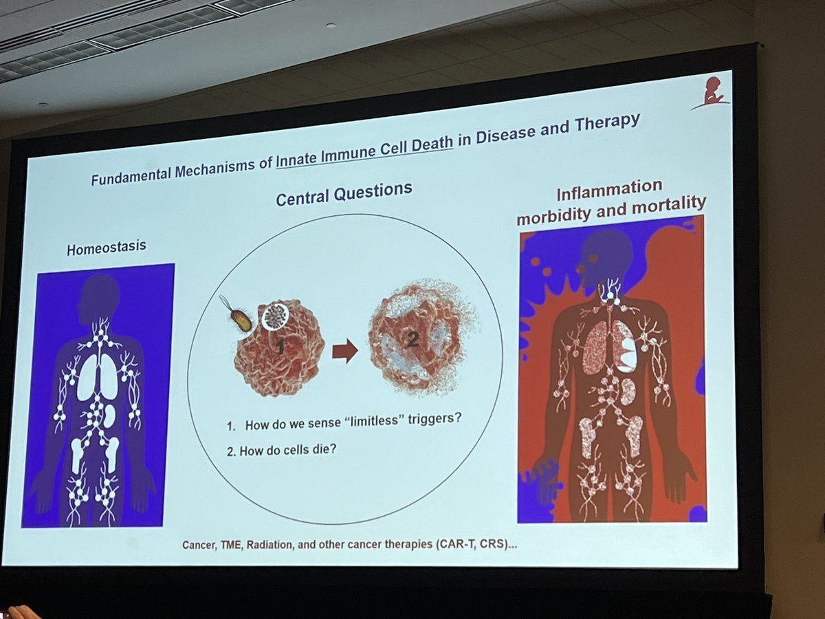 subatomicdoc's tweet photo. Learning about many ways our cells can die
Apoptosis, necroptosis
New to me: pyroptosis and panoptosis
This session definitely suggests we need to focus on radiobiology research for future progress
Including lipidomics imho
#cancerbio #radbio #ASTRO24