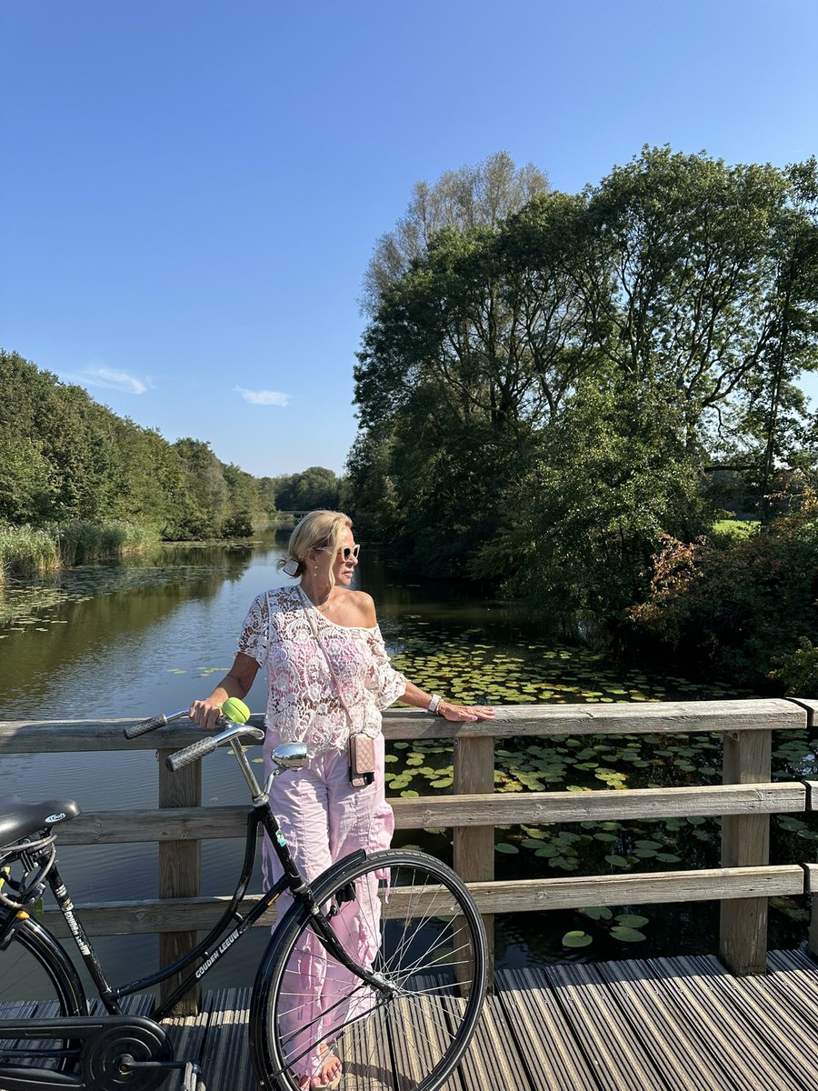 Arie Luyendyk tweet media