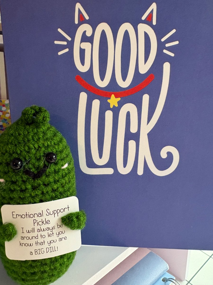 The PhD kicks off this week and I can’t wait to get started. Emotional support pickle at the ready 🥒 😅