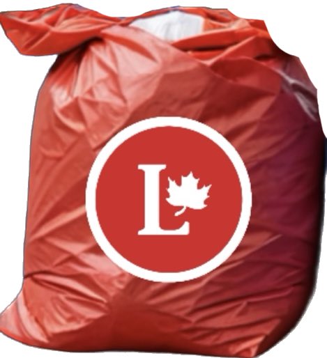 Vote Canada tweet media