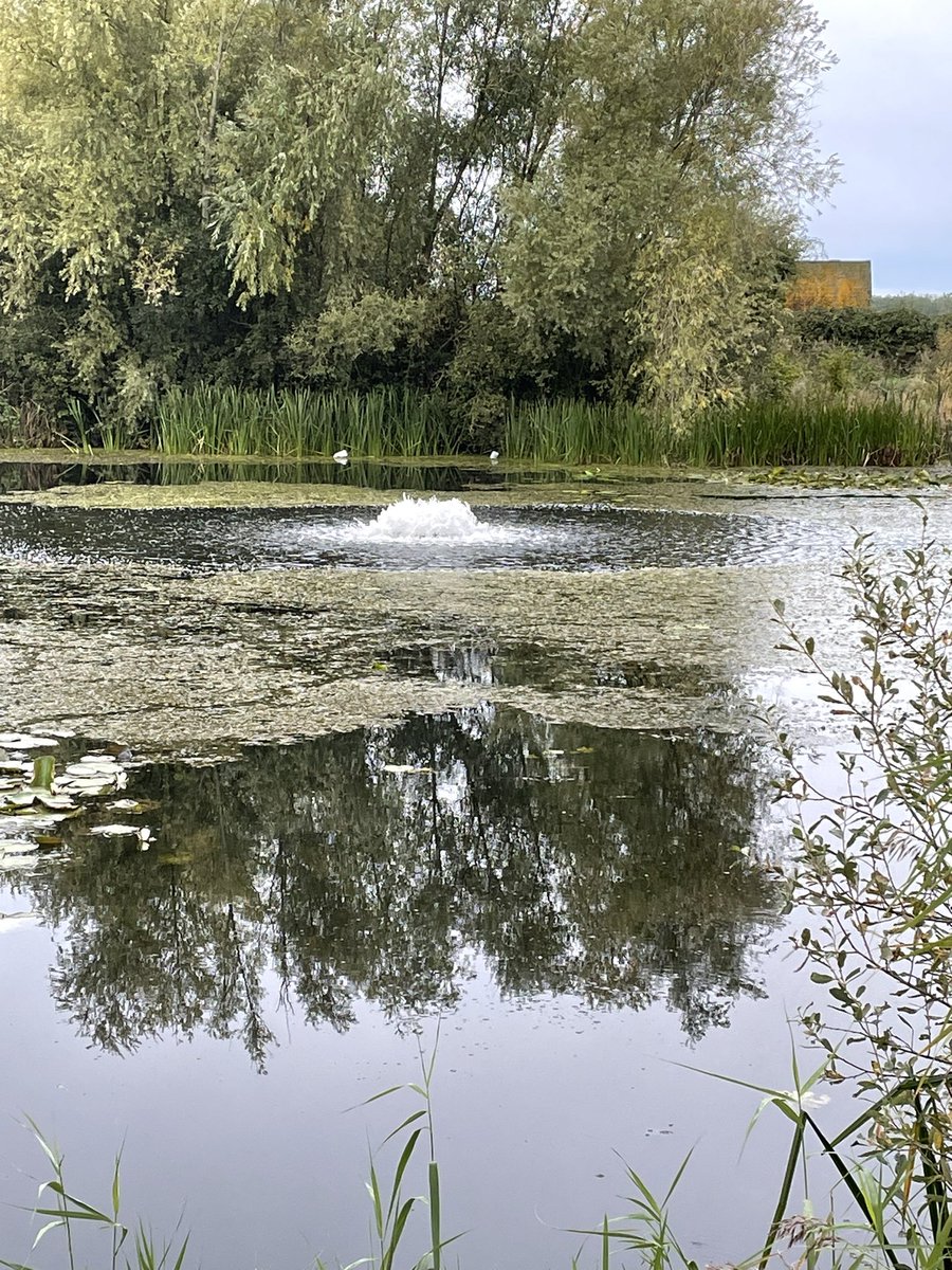 We’ve deployed emergency aeration again this weekend at a fishery suffering with low dissolved oxygen (DO) issues, which had resulted in some fish deaths and hundreds more gasping. DO levels are now improving. Please call us if you notice dead or distressed fish 📞 0800 807060