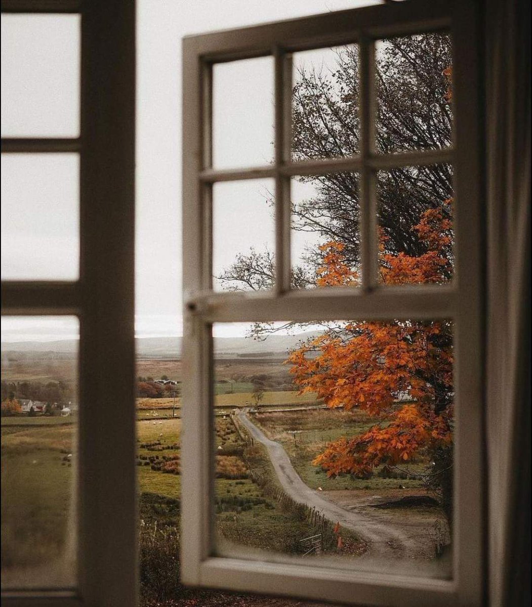 "There is a kind of sadness that comes from knowing too much, from seeing the world as it really is. The sadness from realizing that life is not a grand adventure, but a series of small, insignificant moments, that love does not  is a fairy tale, but a fragile emotion, that