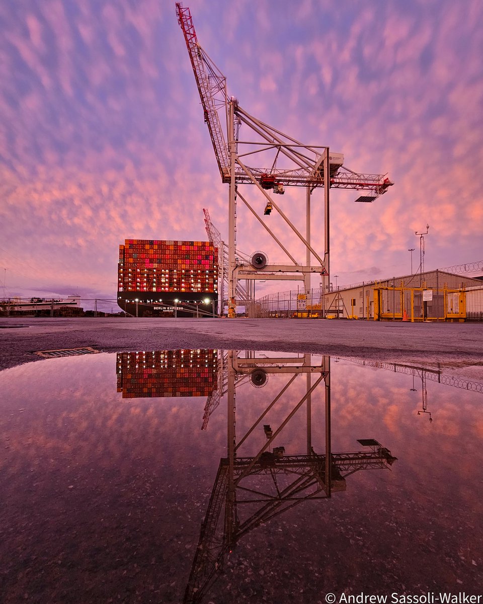 Andrew S-W tweet media