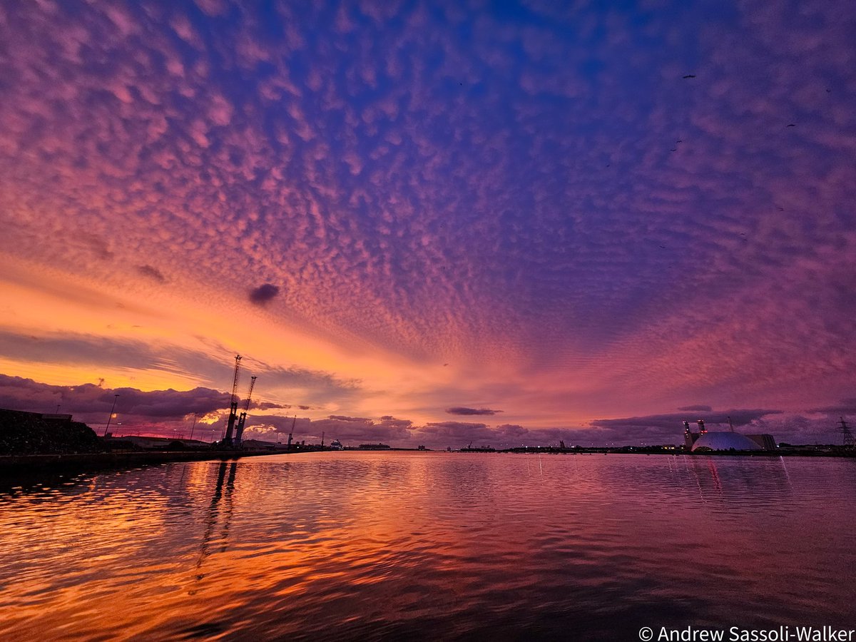 Andrew S-W tweet media