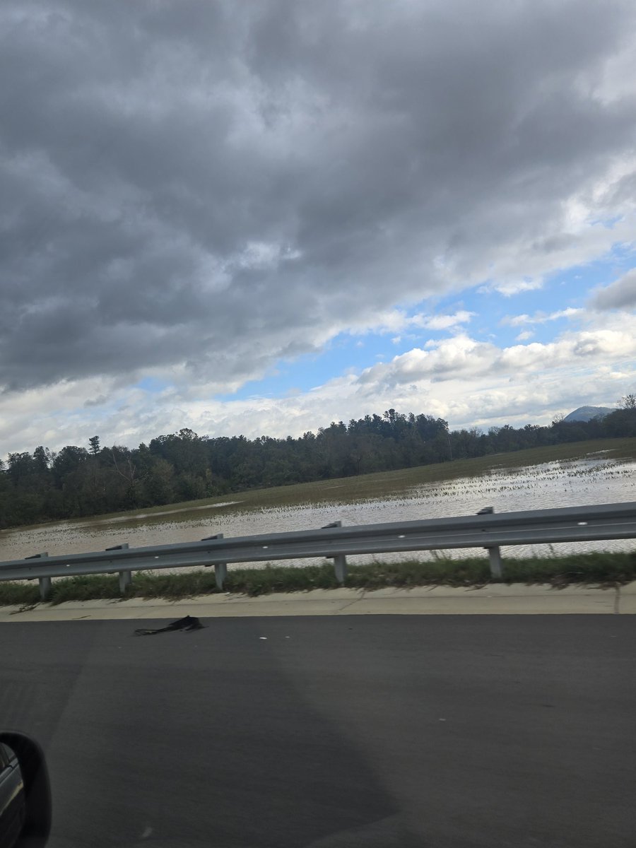 Vespur ➡️🦋 tweet media