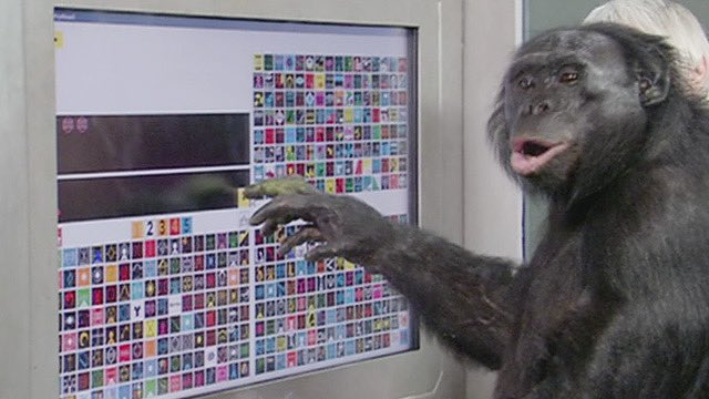 ohwhatatimepod's tweet photo. 📜 #66 Animal Intelligence 🐴
We’ll be looking at mankind’s attempts to communicate with apes, plus we’ll be looking at a very intelligent horse (Clever Hans) and a very intelligent octopus (Paul).

➡️ ALL THE LINKS: https://t.co/3wMiCugJVV https://t.co/fkFaq6yzA7
