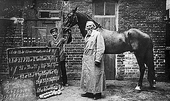ohwhatatimepod's tweet photo. 📜 #66 Animal Intelligence 🐴
We’ll be looking at mankind’s attempts to communicate with apes, plus we’ll be looking at a very intelligent horse (Clever Hans) and a very intelligent octopus (Paul).

➡️ ALL THE LINKS: https://t.co/3wMiCugJVV https://t.co/fkFaq6yzA7