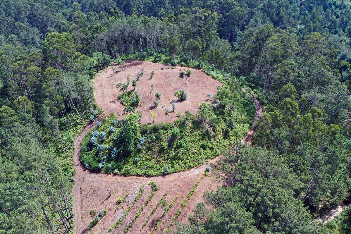 magago's tweet photo. Onte, nas xornadas 'A Pobra do Caramiñal no tempo' o concello anunciou unha gran nova na que tiven a oportunidade de colaborar: a compra do castro da Croa de Posmarcos, que desde o xoves xa é da veciñanza. Cóntovos algunhas curiosidades e preguntas que nos facemos sobre el. https://t.co/C1Dl0R7W9a