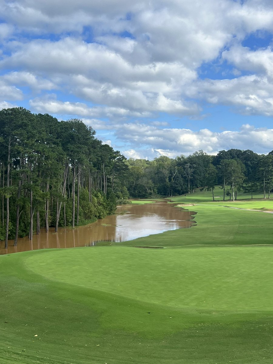 1908 Turf tweet media