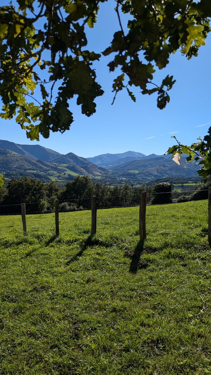 MayaPont's tweet image. L'arrière saison est d'habitude un régal au Pays basque mais cette année, mois de septembre déprimant... Alors, que cette journée fait du bien !