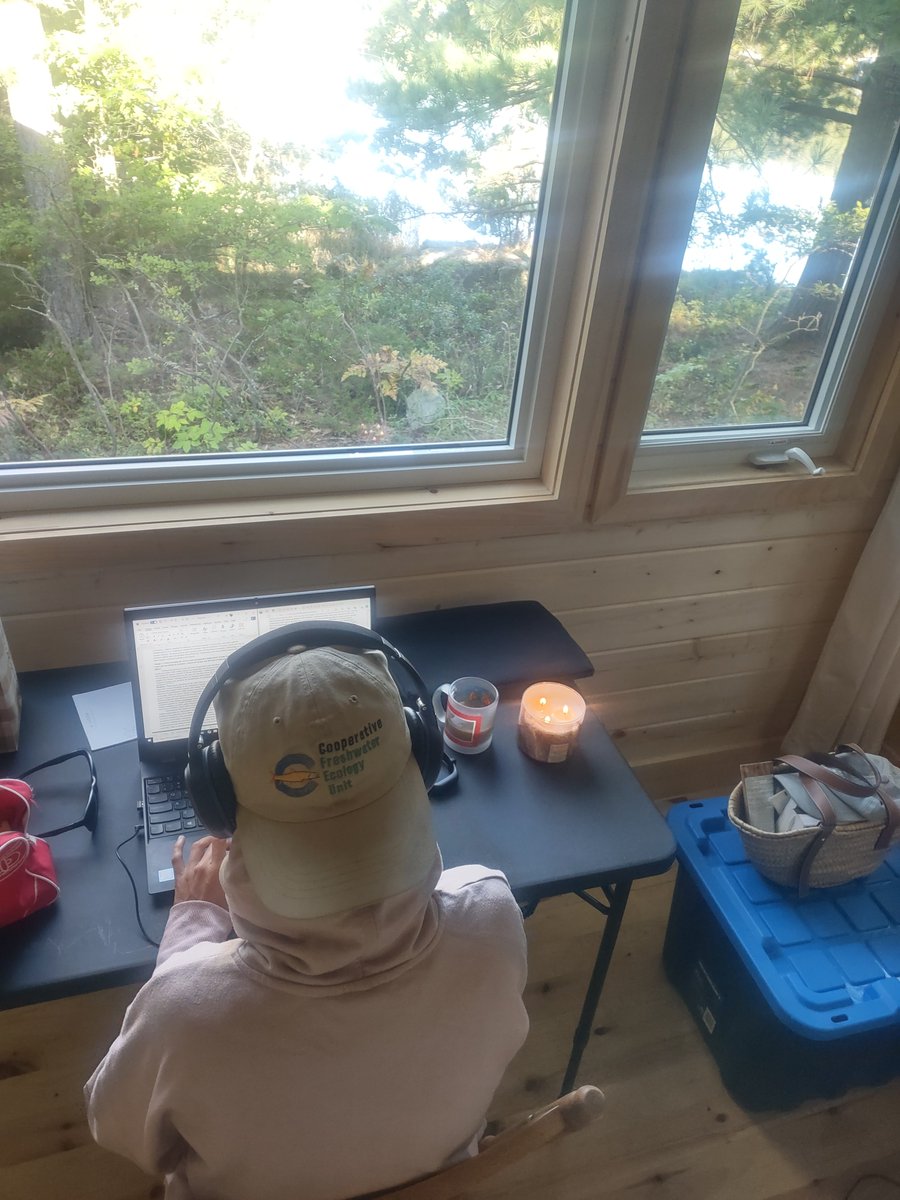 Writing my first NSERC DG like 🤪