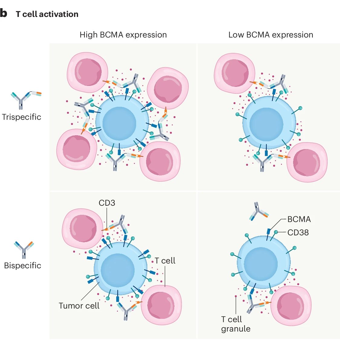 Nature Cancer tweet media